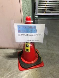 %e3%81%a4%e3%81%b0%e3%82%81